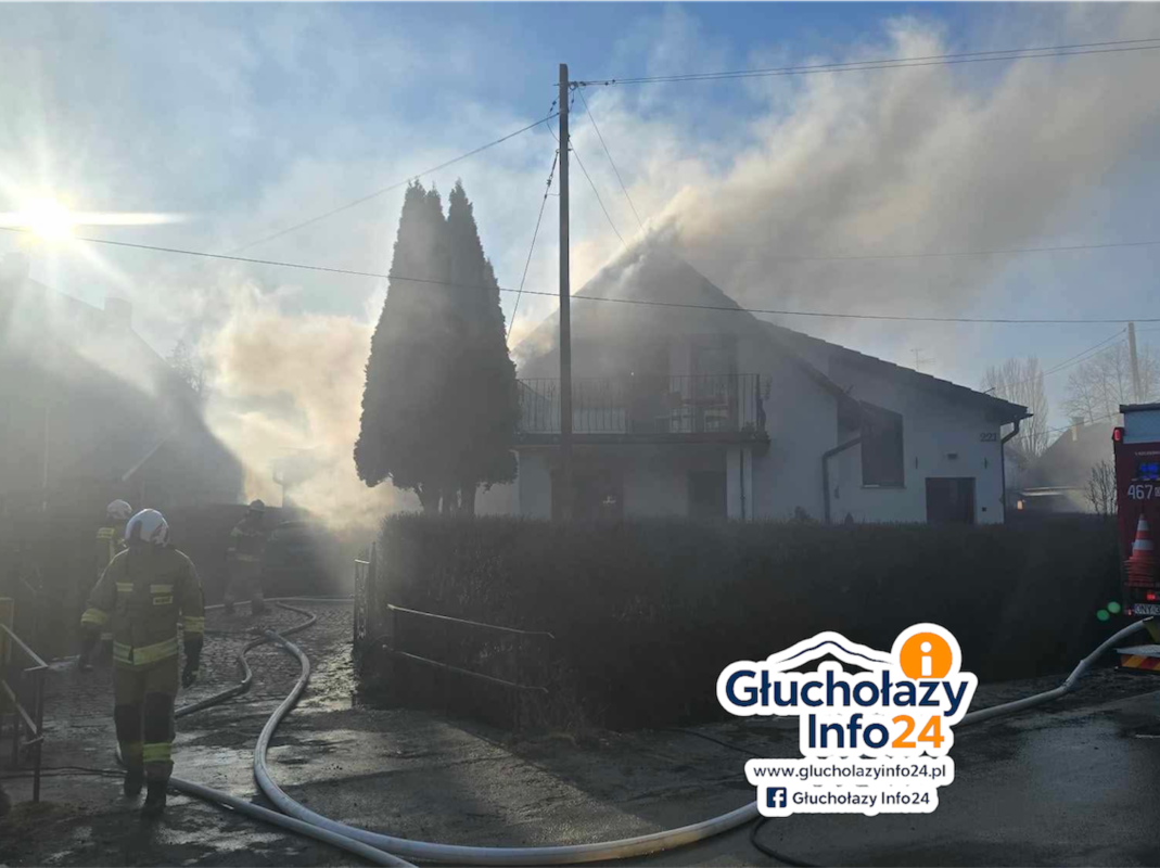 Photoroom_20260210_151949