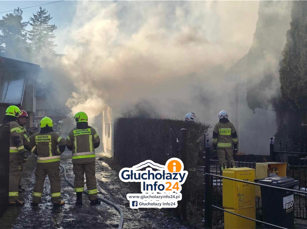 Photoroom_20260210_152204