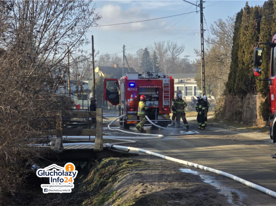 Photoroom_20260210_181049