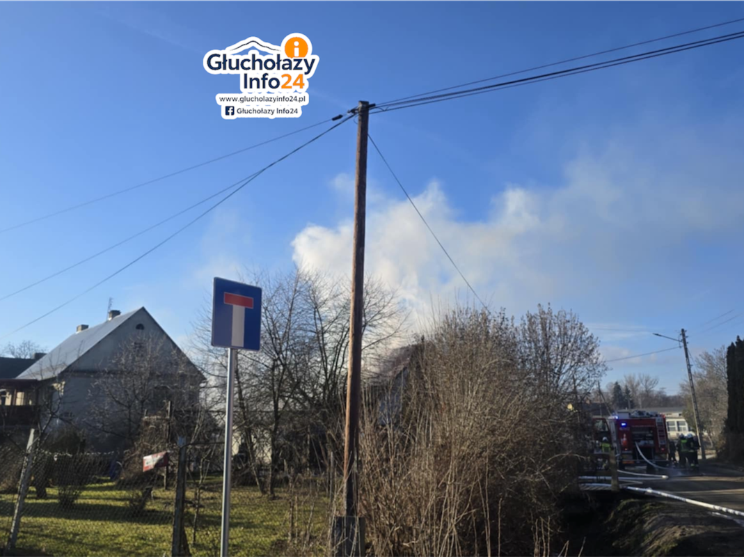 Photoroom_20260210_181126