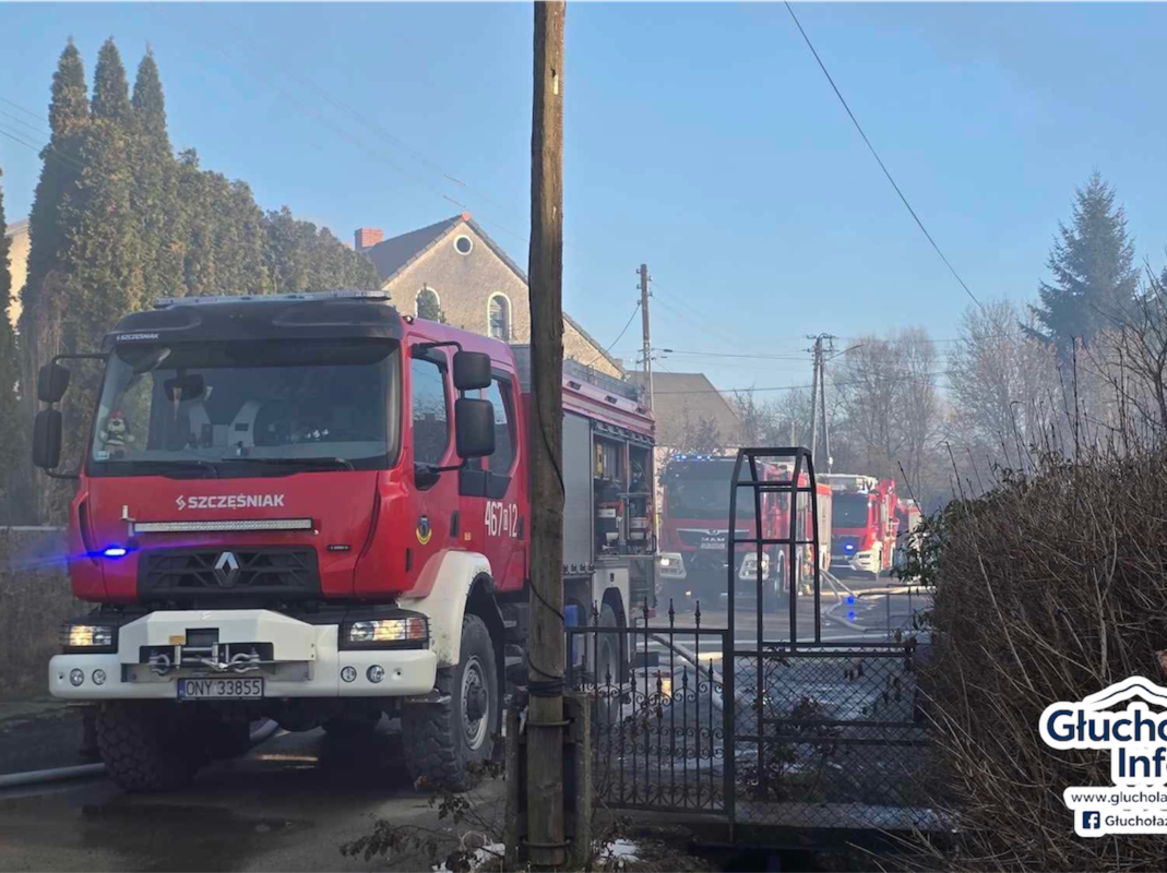 Photoroom_20260210_181257