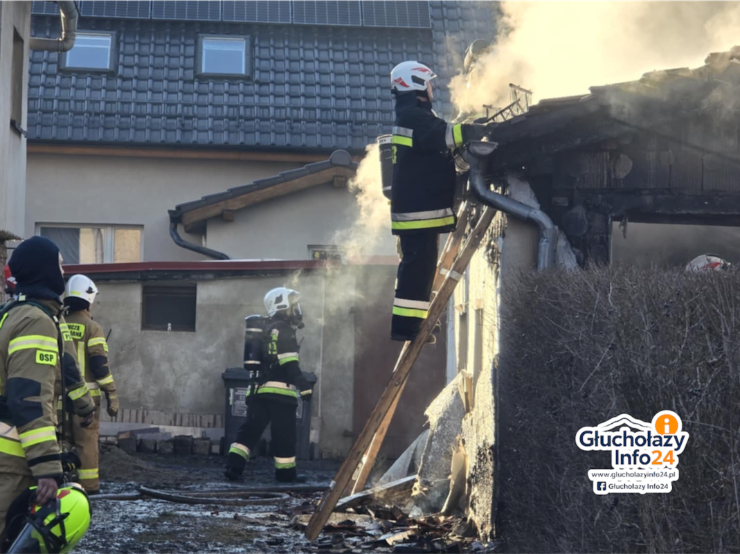 Photoroom_20260210_181538