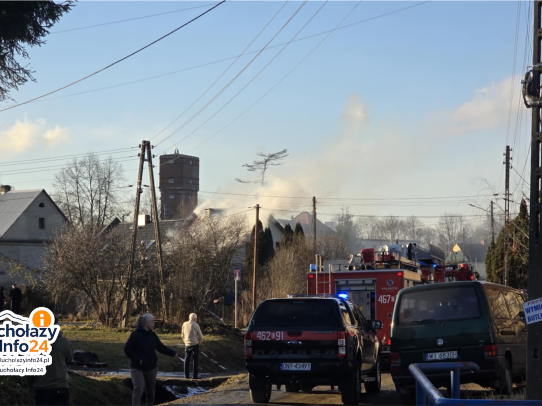 Photoroom_20260210_181638